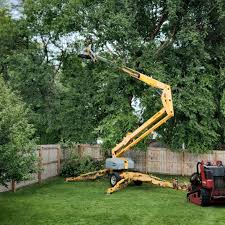 Lawn Maintenance Plans in Hammonton, NJ