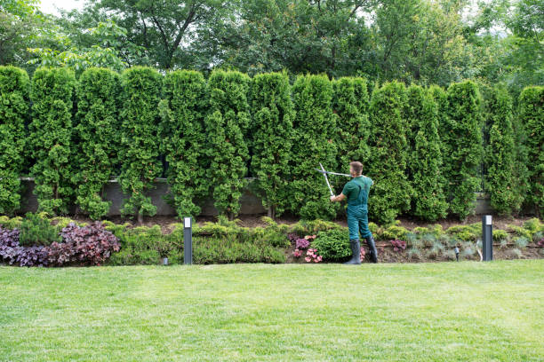 Best Soil Testing and Treatment  in Hammonton, NJ